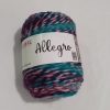 Allegro1